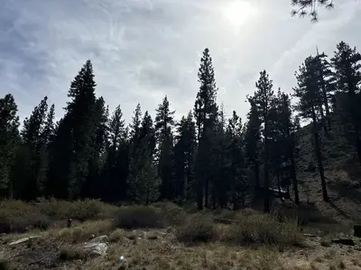 A photo of facility Bootleg with No Amenities Shown