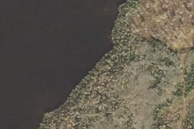 Pine Lake 4