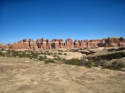 Needles (4072819656)