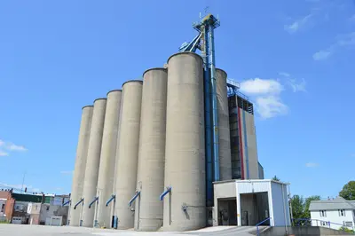 Deshler elevator
