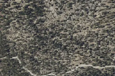 Camp site