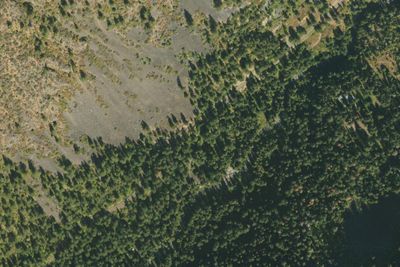 Hurricane Creek Campground