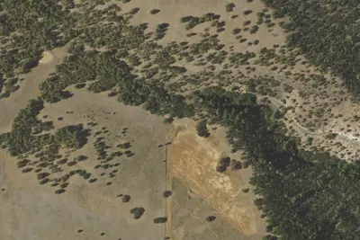 Camp site