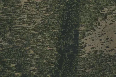 Camp site (US Forest Service)
