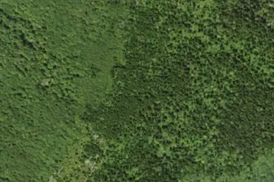 Camp site