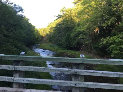 West River inside Salt Springs Provincial Park