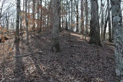 Grenada Confederate Redoubt 1