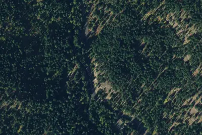Taneum Campground