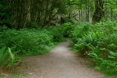 Path at French Beach Park - panoramio