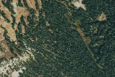 Camp site
