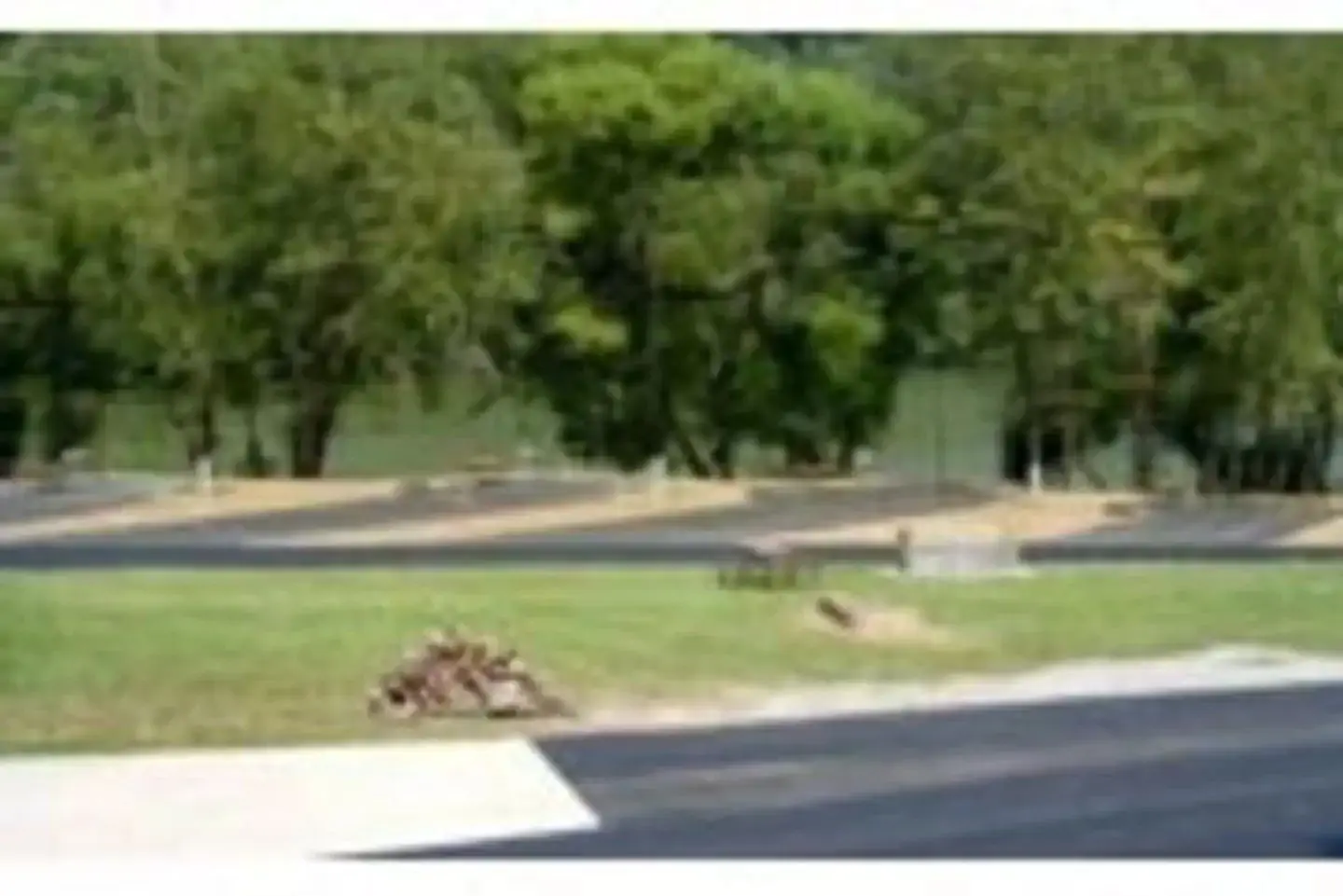 Trace Branch Campground