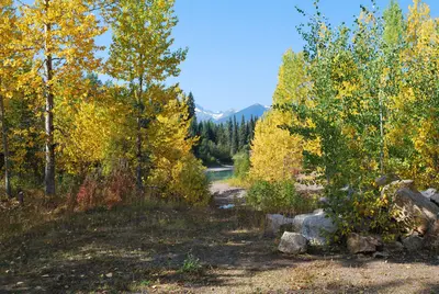 Jonas Creek Campsite - panoramio