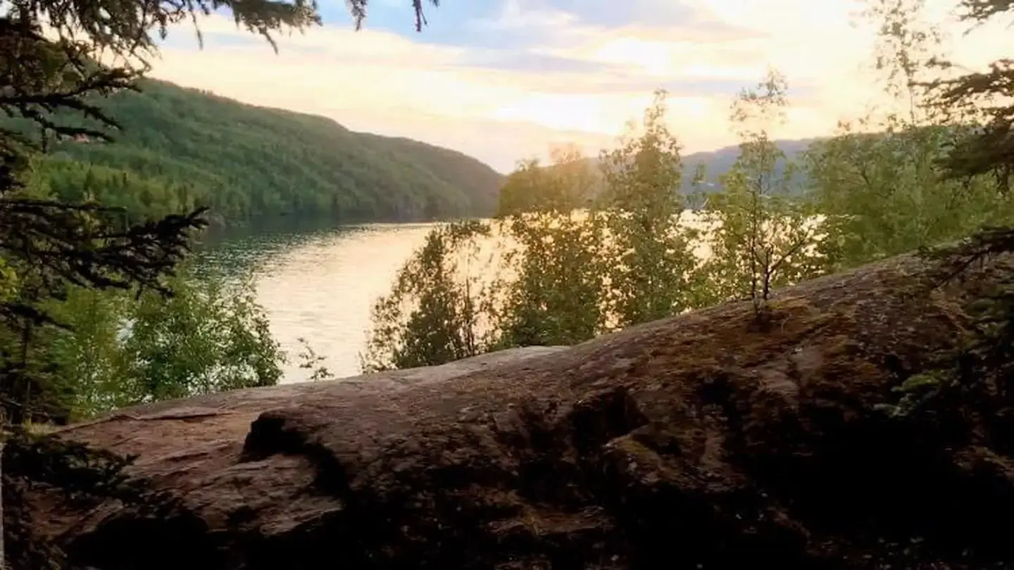 Silvery lake shines from behind dark brown log with rolling hills and forest in the background.