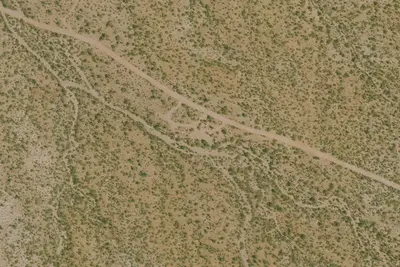 Silverbell Group Site