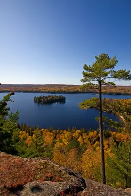 Algonquin Park ~ Centennial Ridges (2946002786)