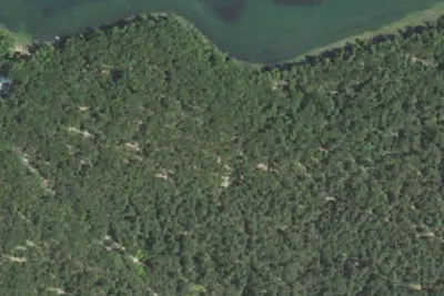 Site 7