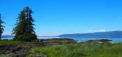 Steamer Bay Cabin