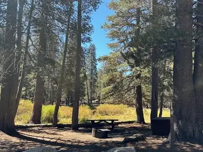 Big Meadow Campground - Campsite #2