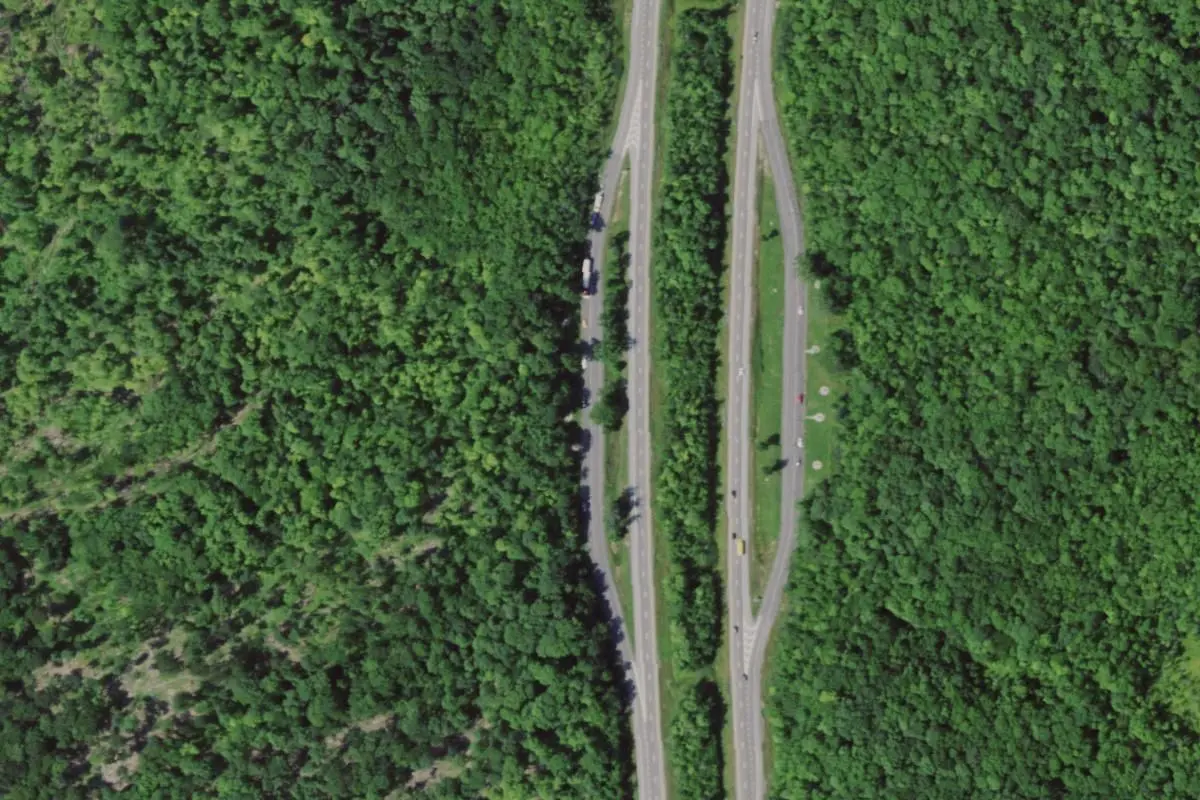 Aerial view