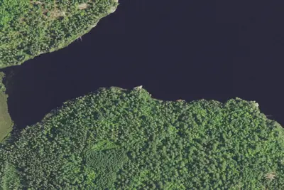 Maude Lake Campsite