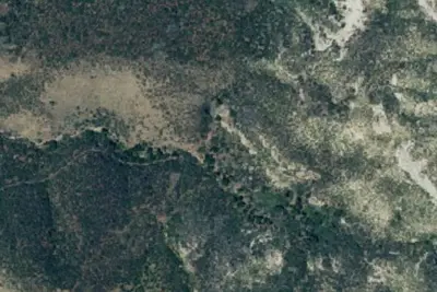 Twin Oaks Camp