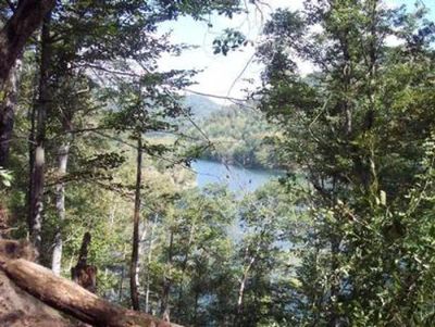 Carr Creek Lake Shelters