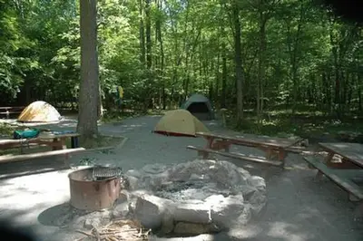 Elizabeth Furnace Group Camp