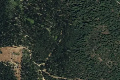 Pierce Meadow
