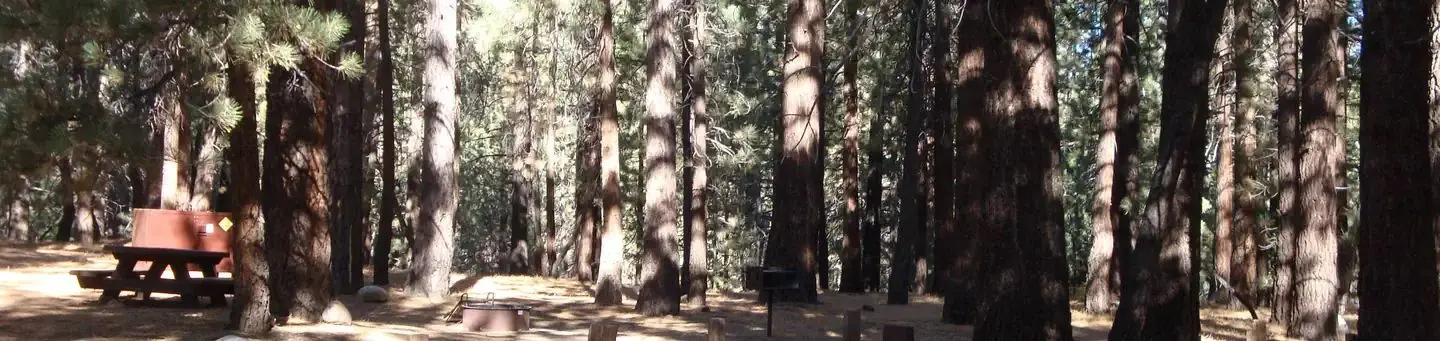 Pine Glen Campground