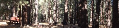 Pine Glen