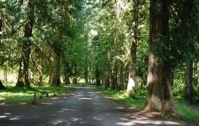 Tower Rock Campground