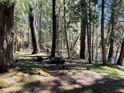 A campsite surrounded by large trees. The site has a wooden picnic table and metal fire ring. A river can be seen at the edge of the site.