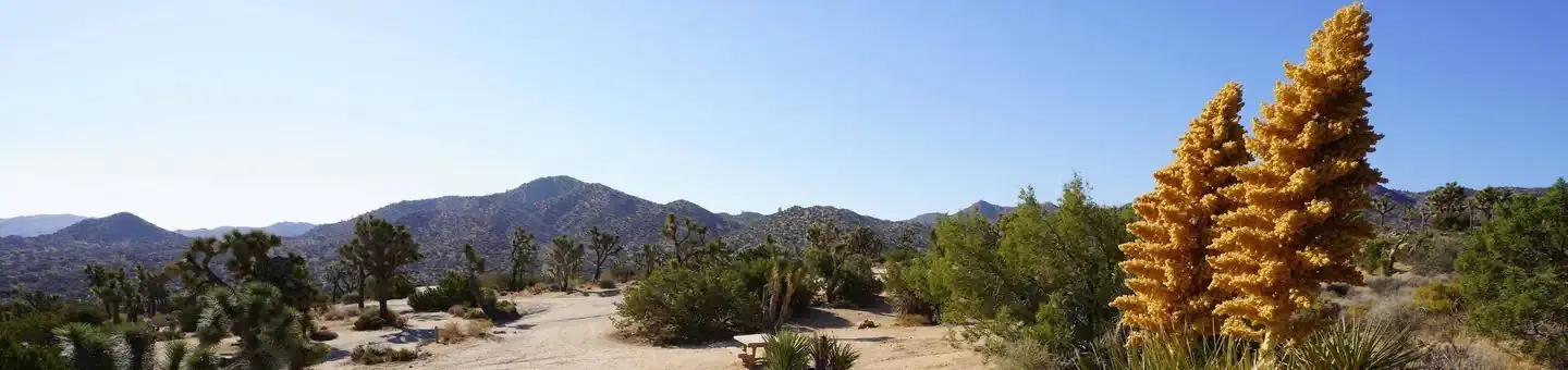 Black Rock Campground