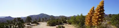 Black Rock Campground
