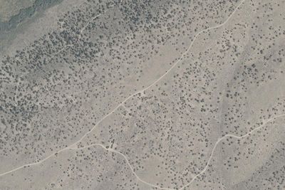 Camp site