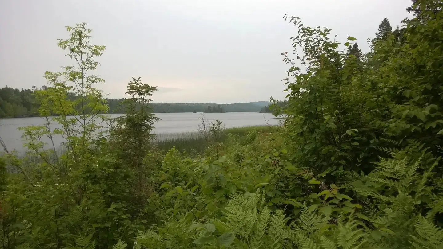 View of Chickenbone Lake from the East Lake Chickenbone Trail