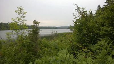East Chickenbone Campground