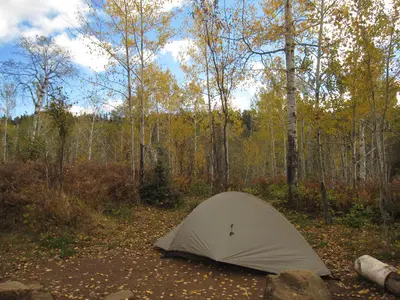 East Chickenbone Campground Tent Site
