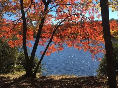Price Lake view from site A9.
