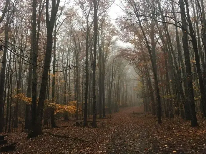 A foggy day on B Loop
