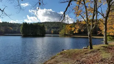 Bass Lake is another nearby attraction.