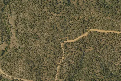 Site 9