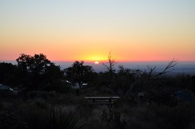 Pine Springs Sunrise
