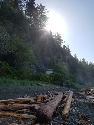 Pacific Rim national park
