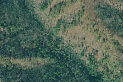 Camp site
