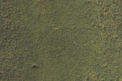 Camp site
