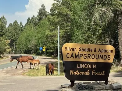 Main sign for Silver, Saddle and Apache campgrounds.