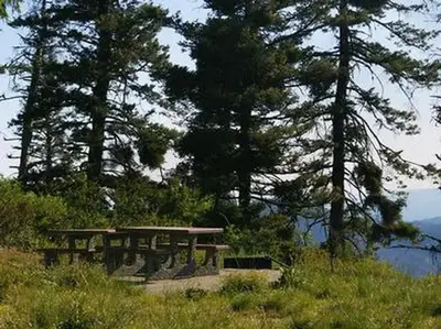 The views are amazing from your site that have picnic tables, campfire rings, and many of the overnight campsites have tent pads.