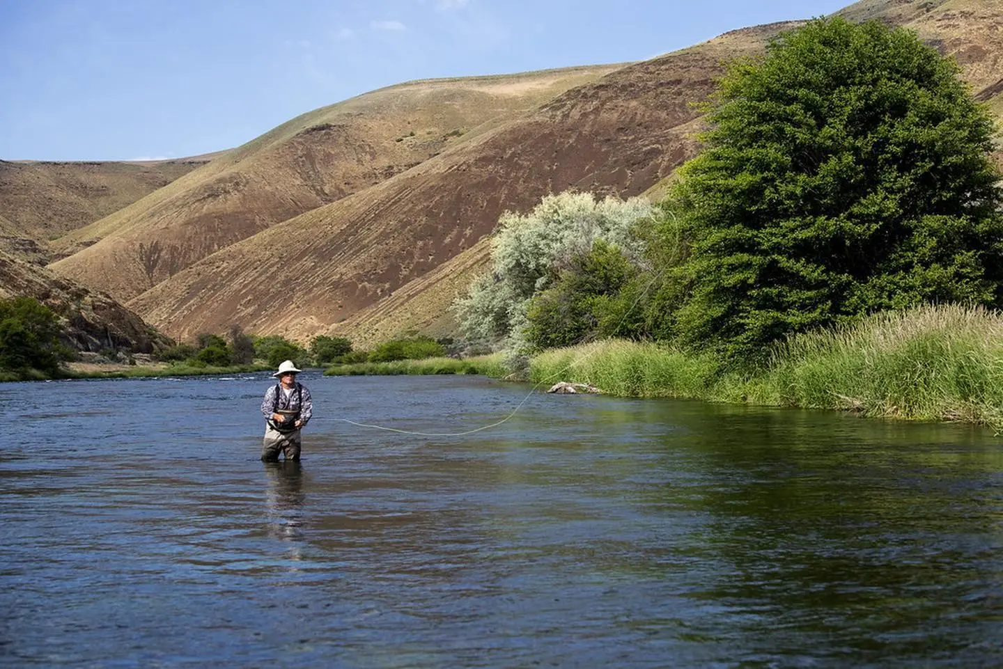Fishing the “Lower D”