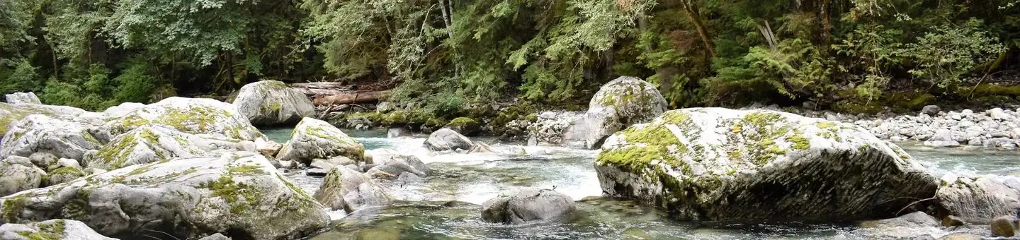 Boulders in creek with water rushing by